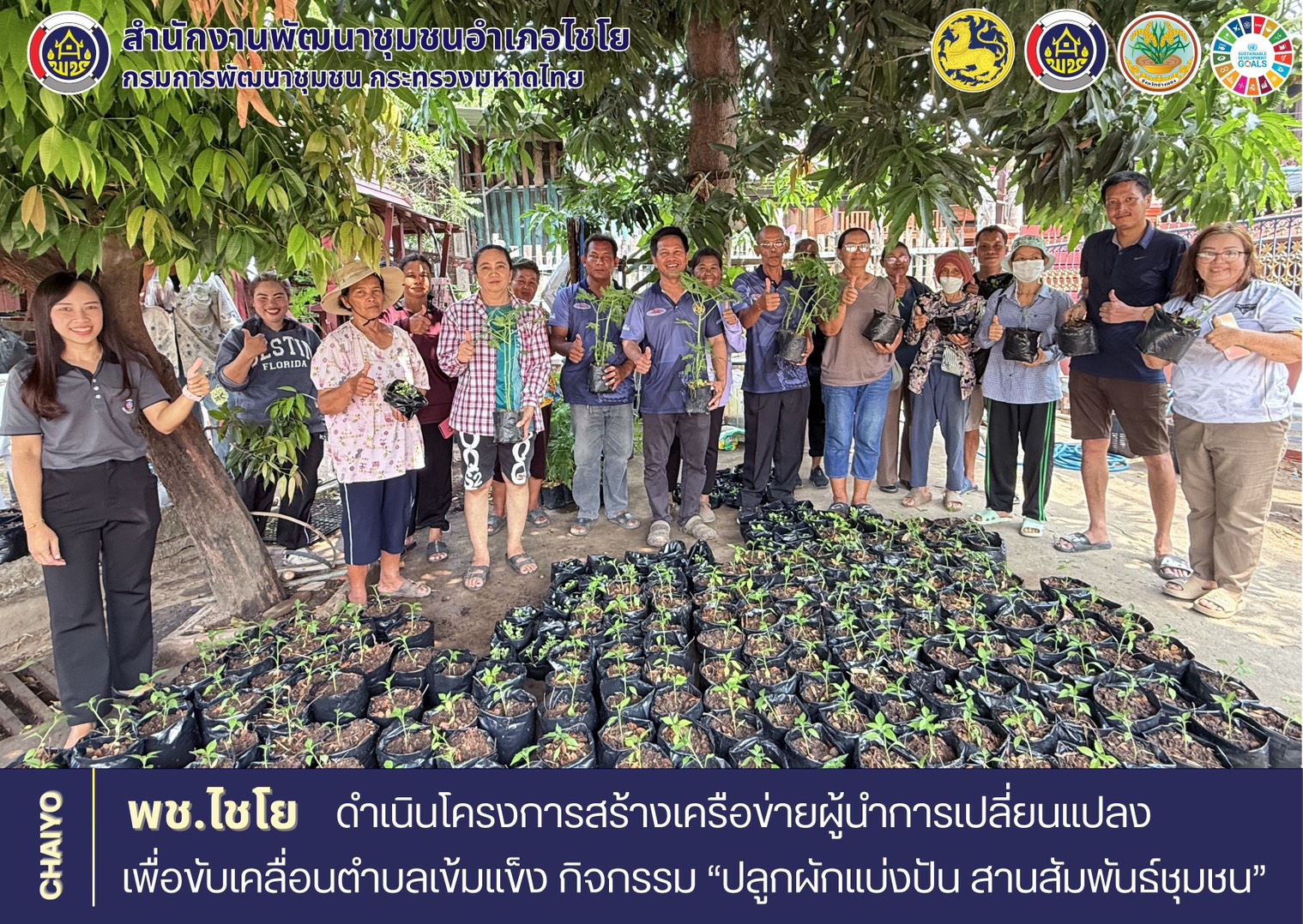 พช.ไชโย ดำเนินโครงการสร้างเครือข่ายผู้นำการเปลี่ยนแปลงเพื่อขับเคลื่อนตำบลเข้มแข็ง กิจกรรม “ปลูกผักแบ่งปัน สานสัมพันธ์ชุมชน”